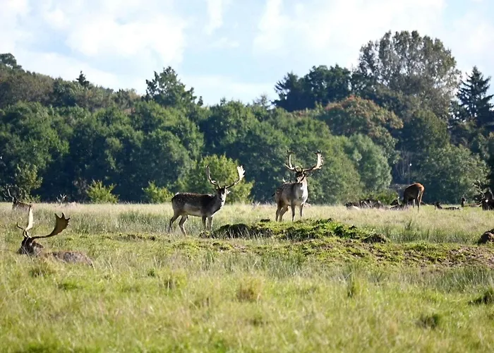 Feriehus Home- Nearby Free Waterpark Access Middelfart